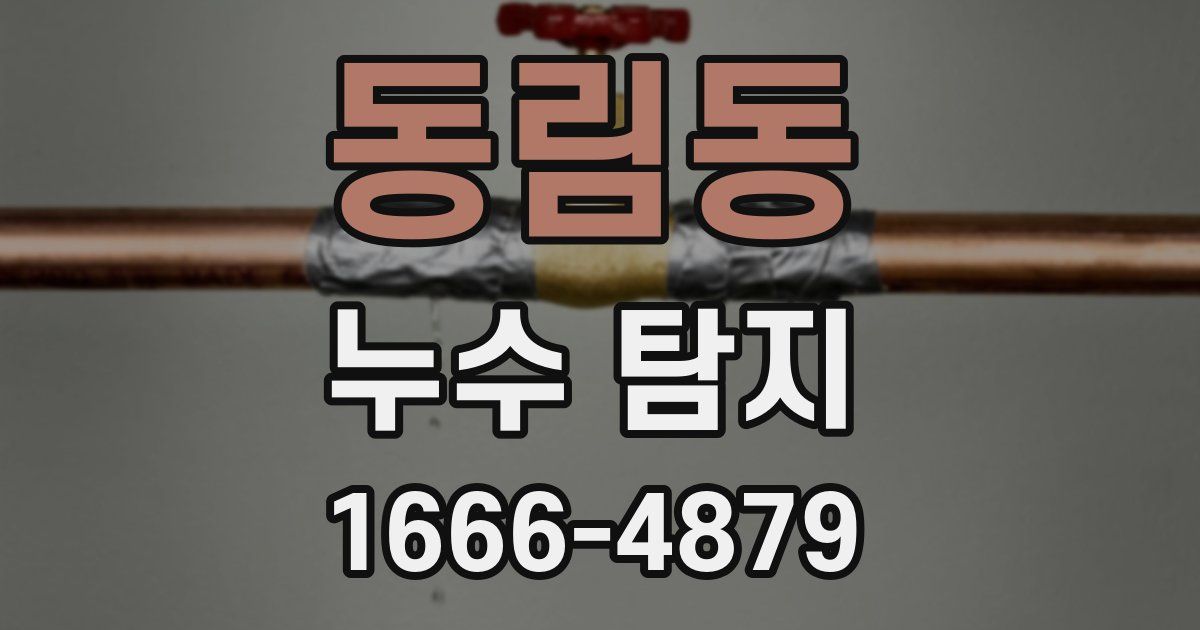 동림동 누수 탐지