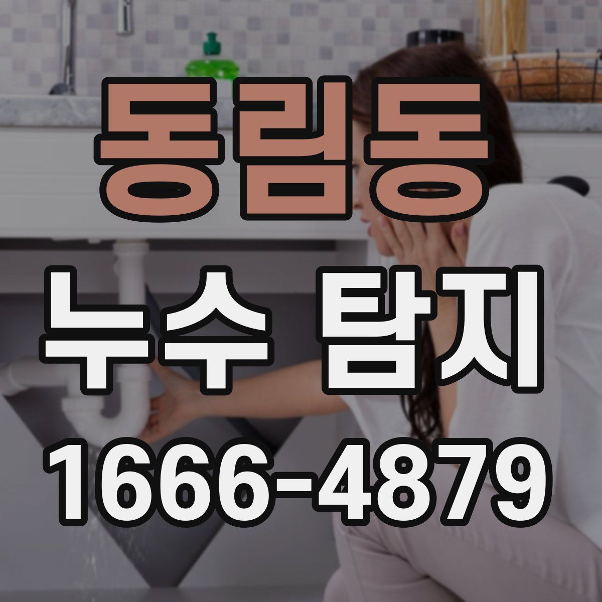 동림동 누수 탐지