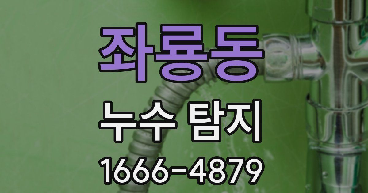 좌룡동 누수 탐지