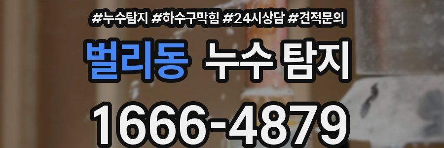 벌리동 누수 탐지