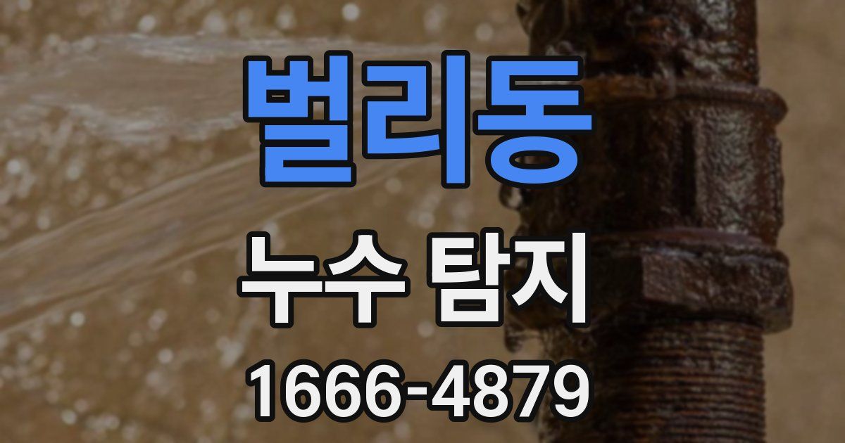 벌리동 누수 탐지