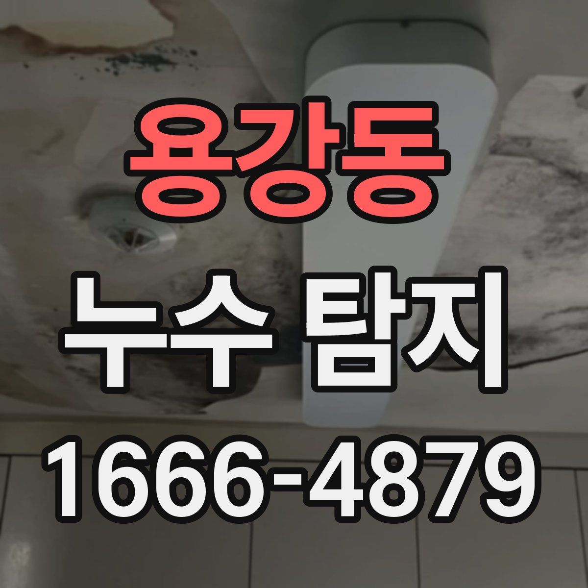 용강동 누수 탐지