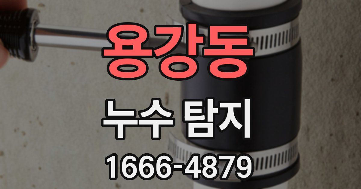용강동 누수 탐지