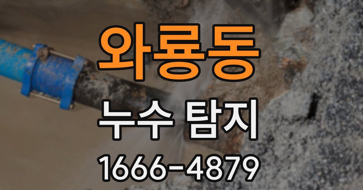 와룡동 누수 탐지