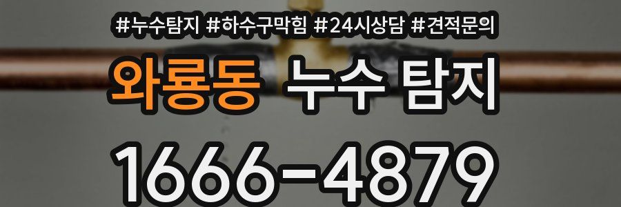 와룡동 누수 탐지