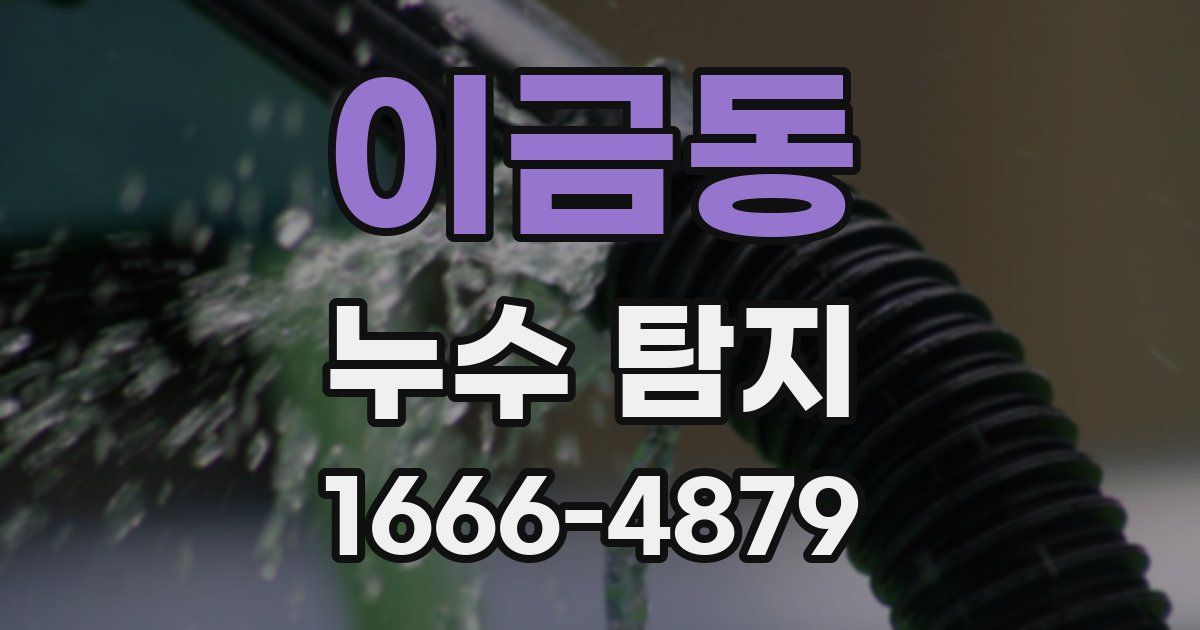 이금동 누수 탐지