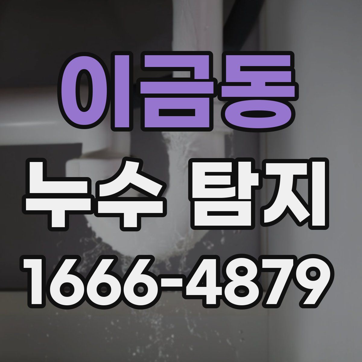 이금동 누수 탐지