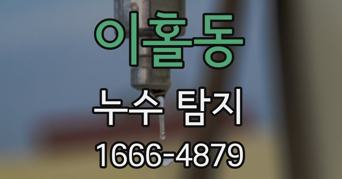 이홀동 누수 탐지