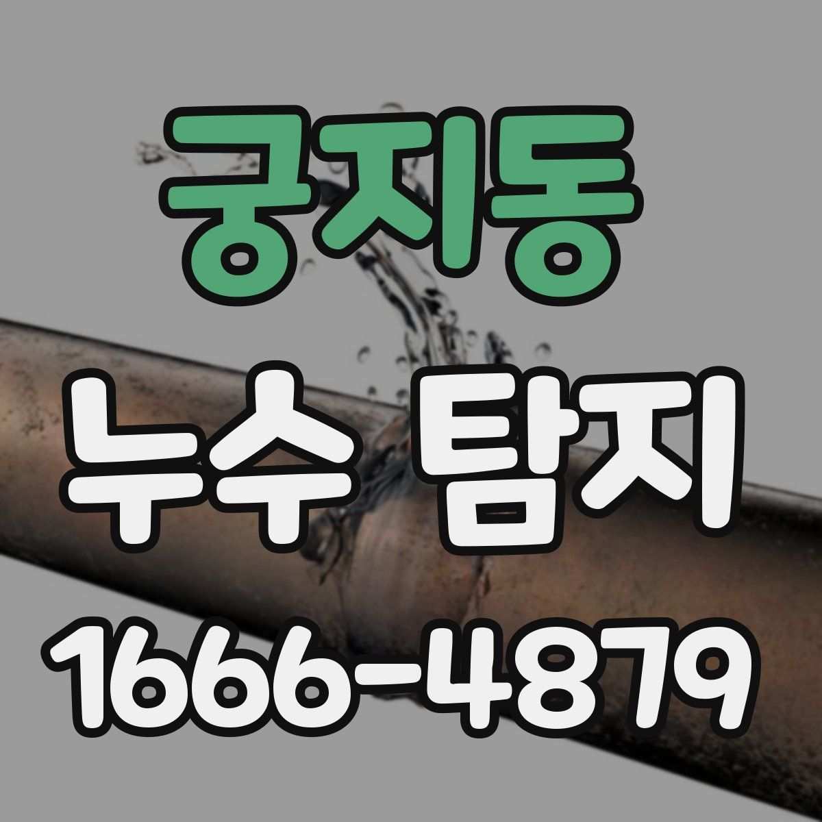 궁지동 누수 탐지