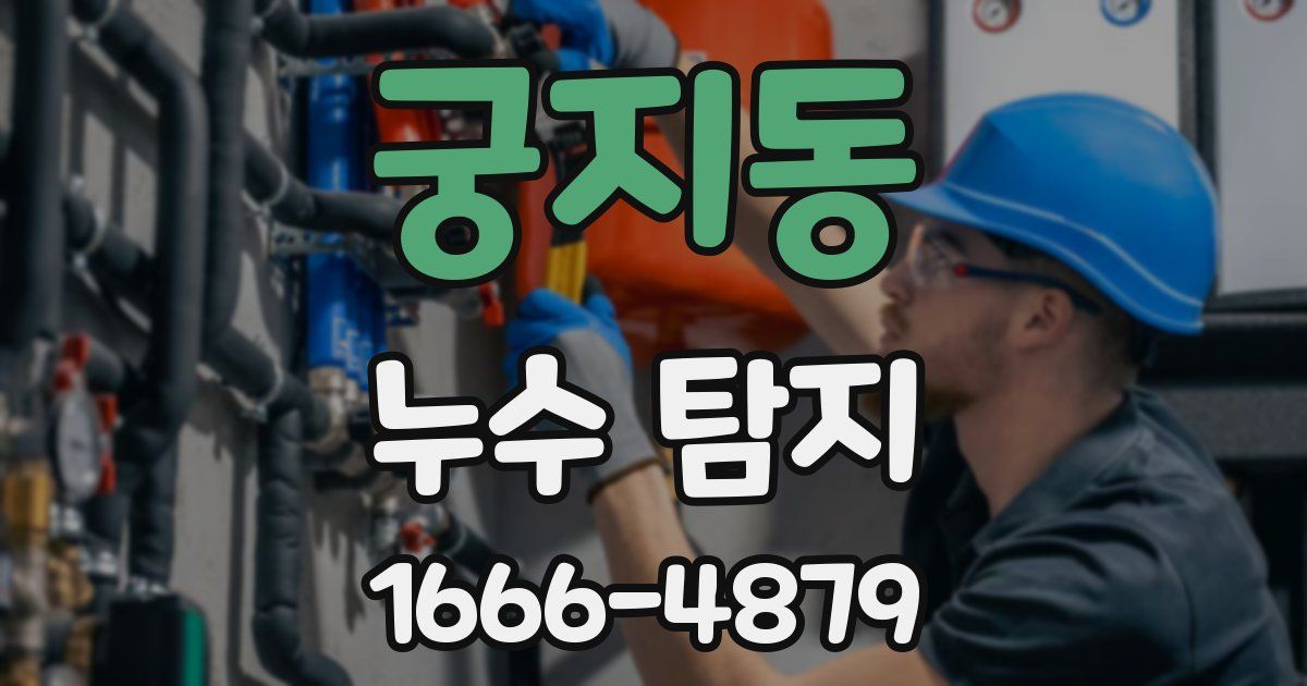 궁지동 누수 탐지