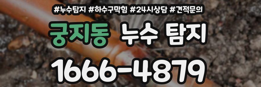 궁지동 누수 탐지