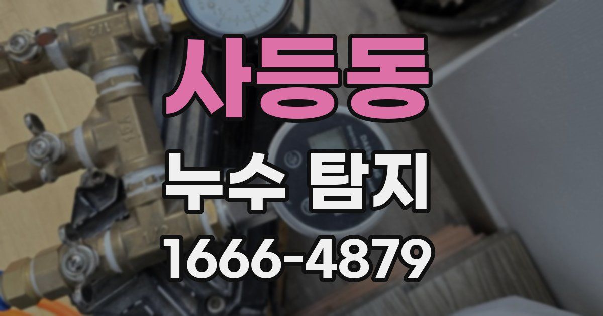 사등동 누수 탐지