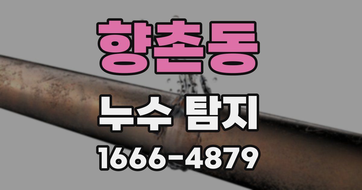 향촌동 누수 탐지