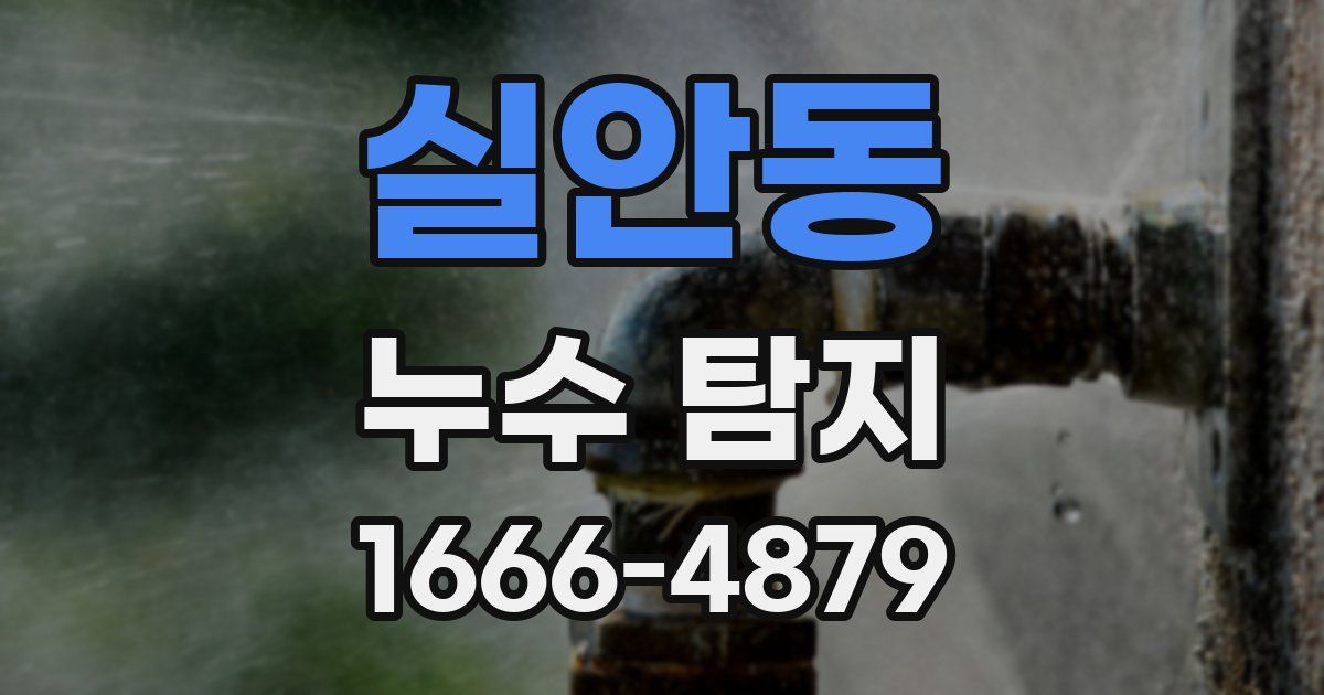 실안동 누수 탐지