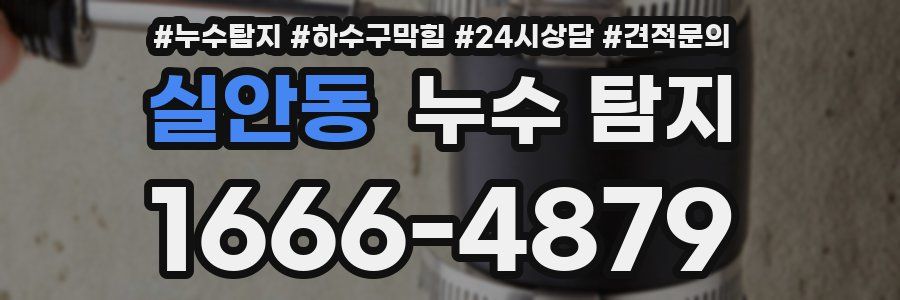 실안동 누수 탐지