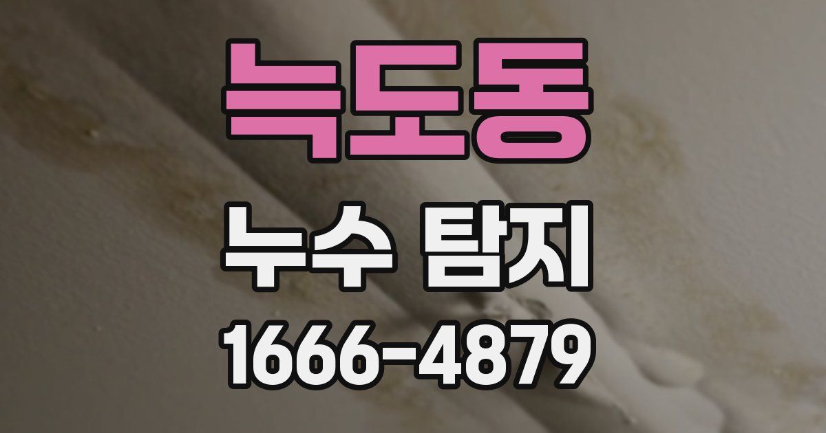 늑도동 누수 탐지