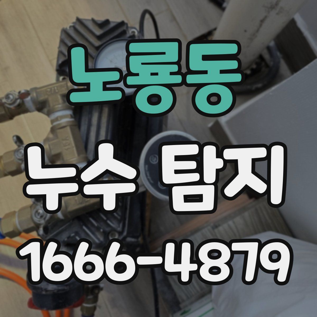 노룡동 누수 탐지