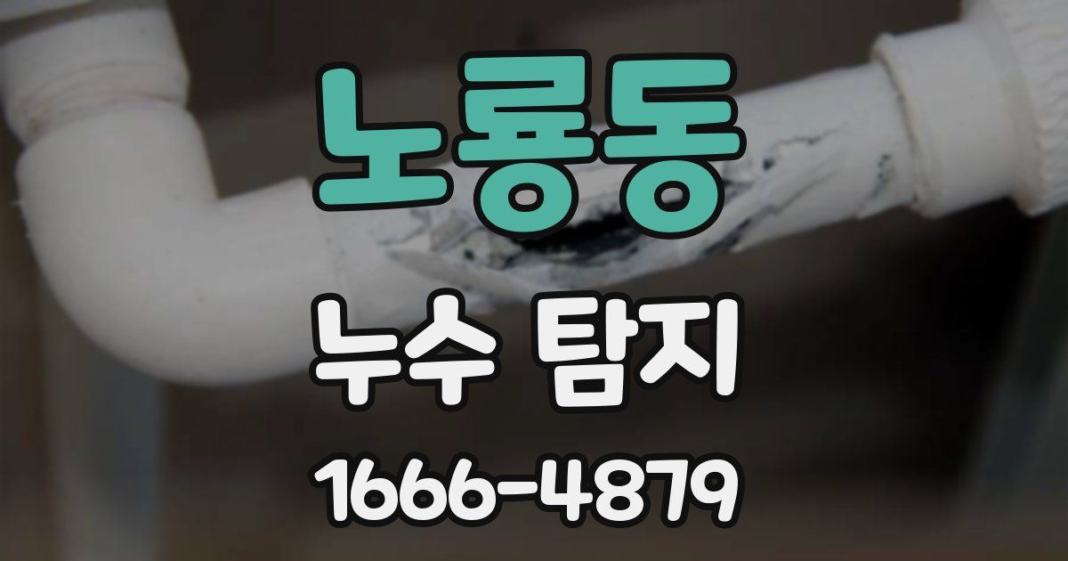 노룡동 누수 탐지