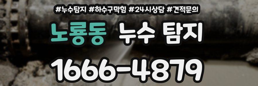 노룡동 누수 탐지