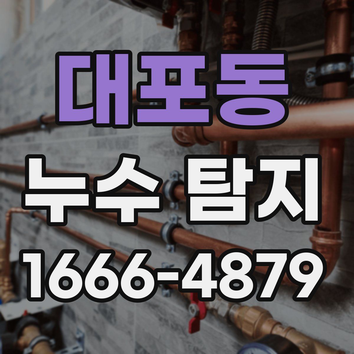 대포동 누수 탐지