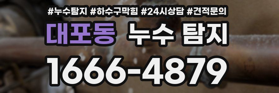 대포동 누수 탐지