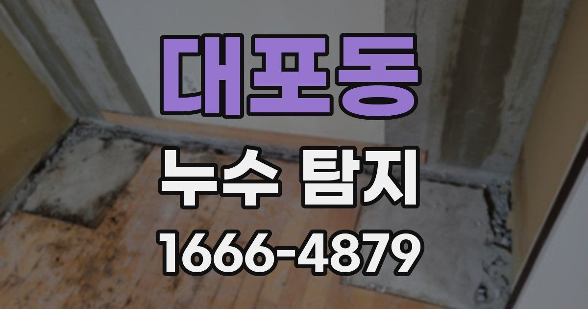대포동 누수 탐지