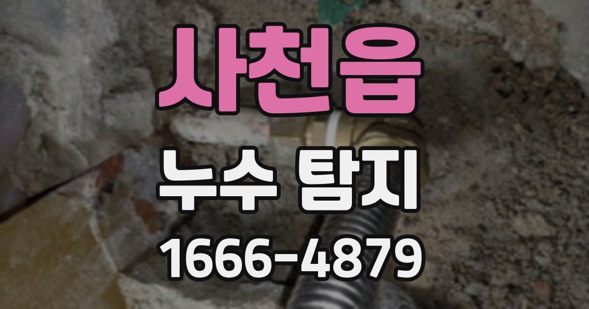 사천읍 누수 탐지