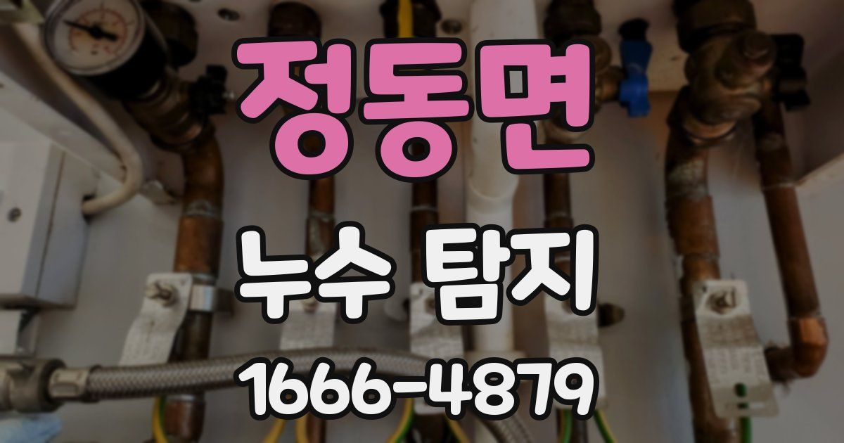 정동면 누수 탐지
