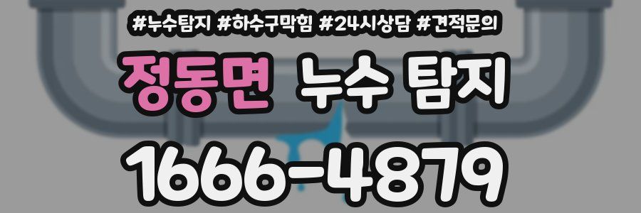정동면 누수 탐지
