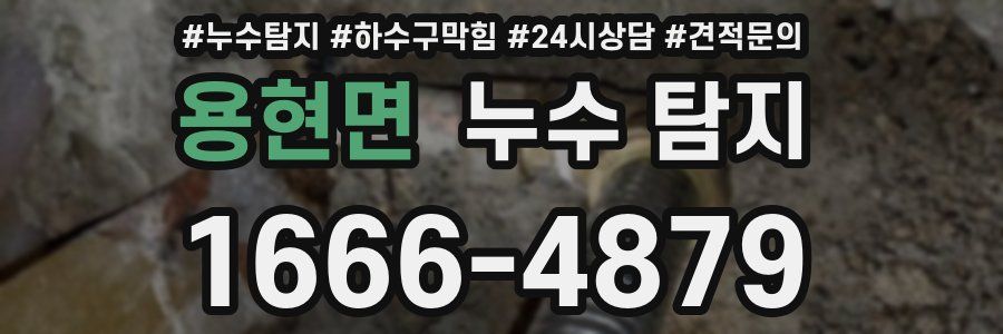 용현면 누수 탐지