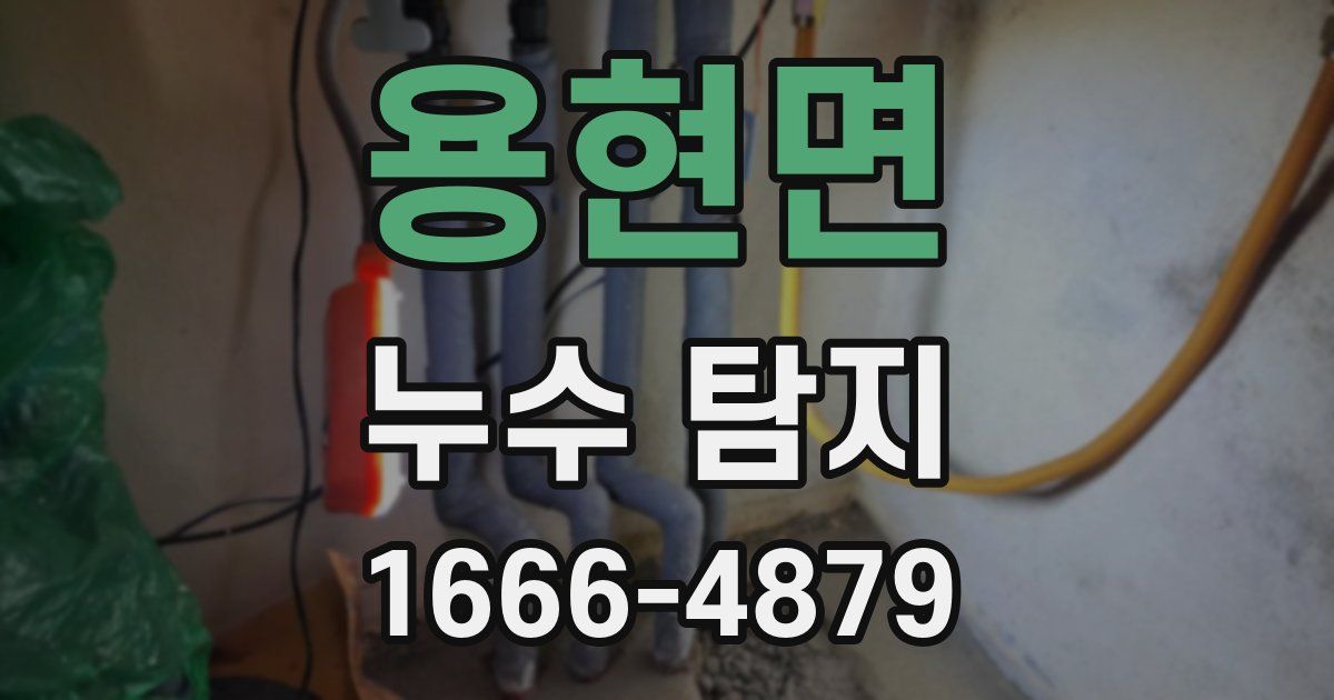 용현면 누수 탐지
