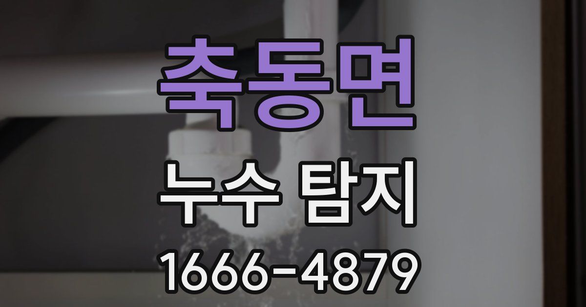 축동면 누수 탐지