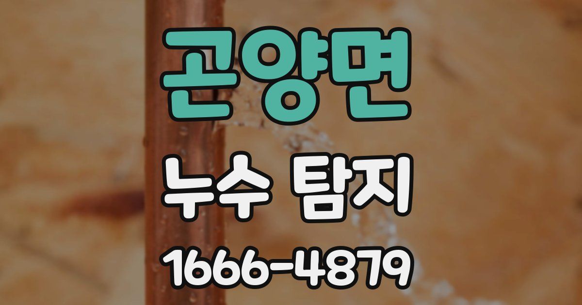 곤양면 누수 탐지