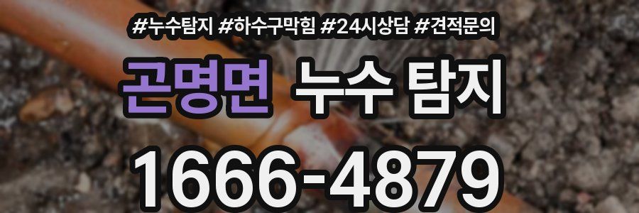 곤명면 누수 탐지