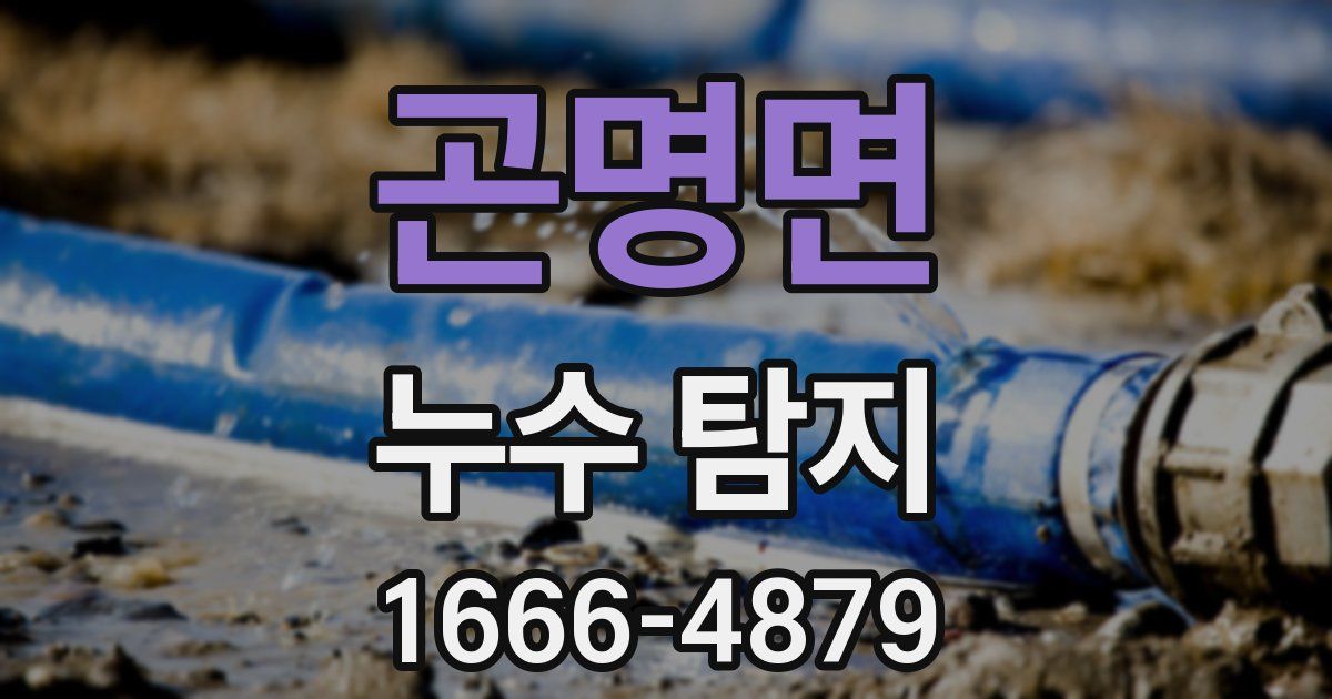 곤명면 누수 탐지