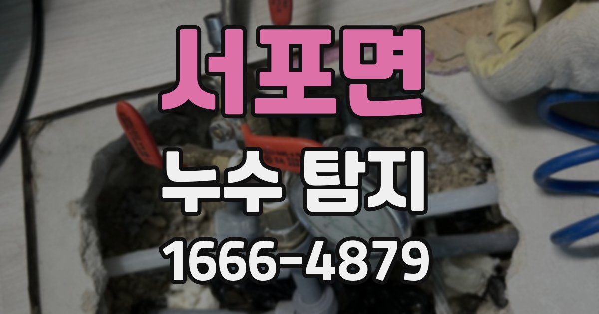 서포면 누수 탐지
