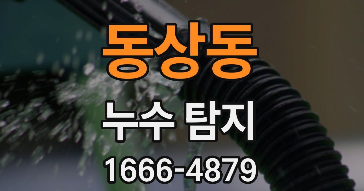 동상동 누수 탐지
