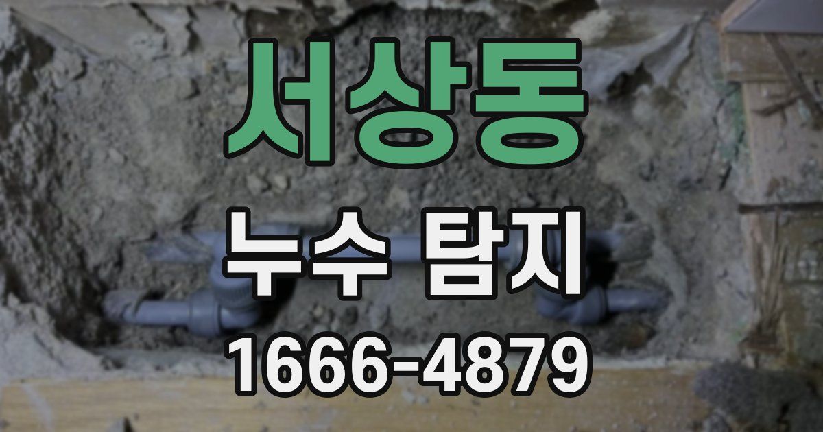 서상동 누수 탐지