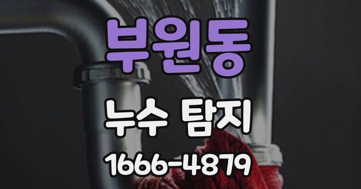 부원동 누수 탐지