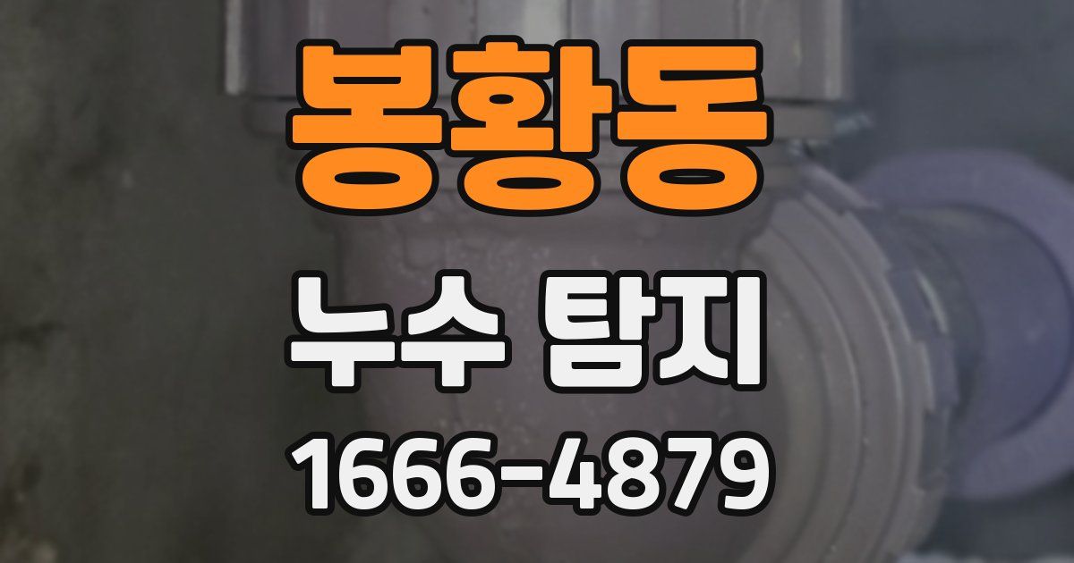 봉황동 누수 탐지