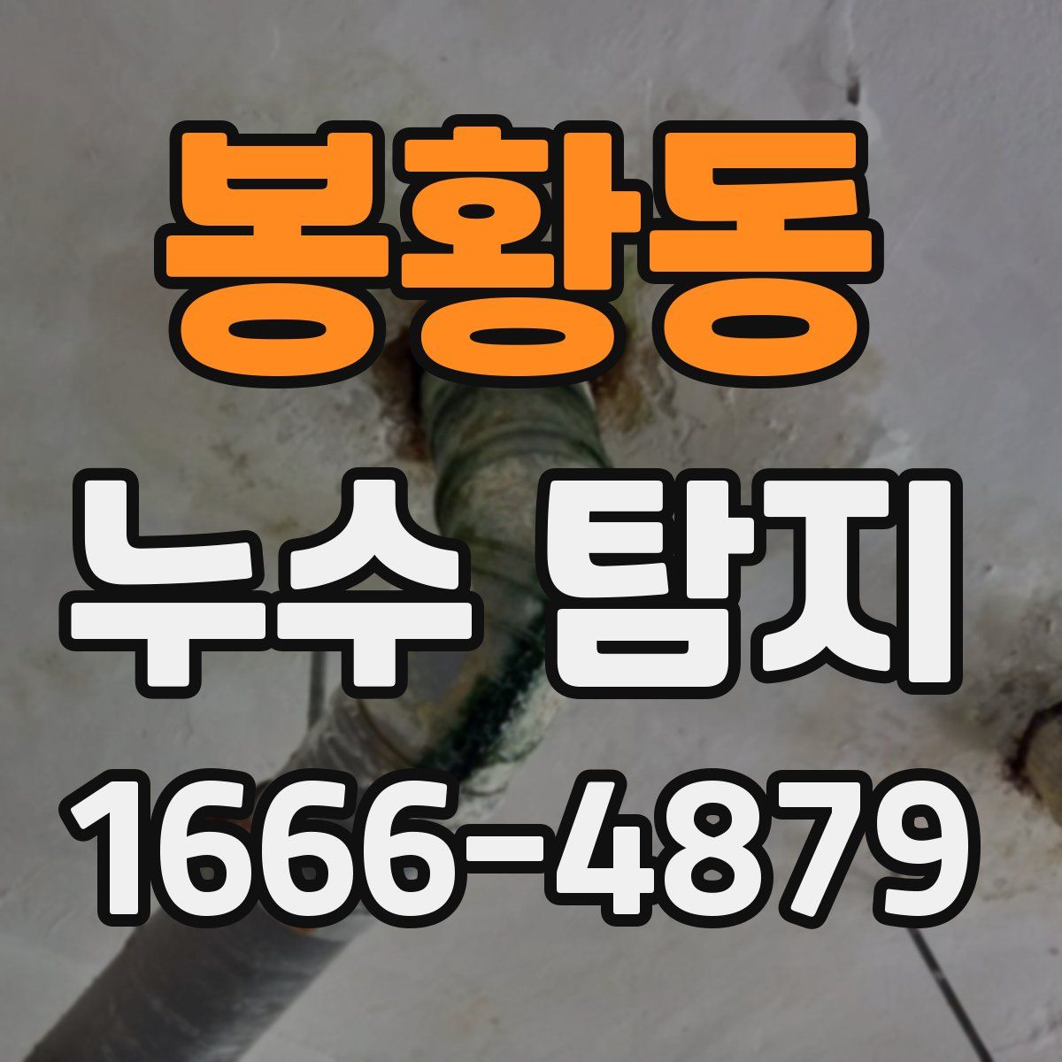 봉황동 누수 탐지