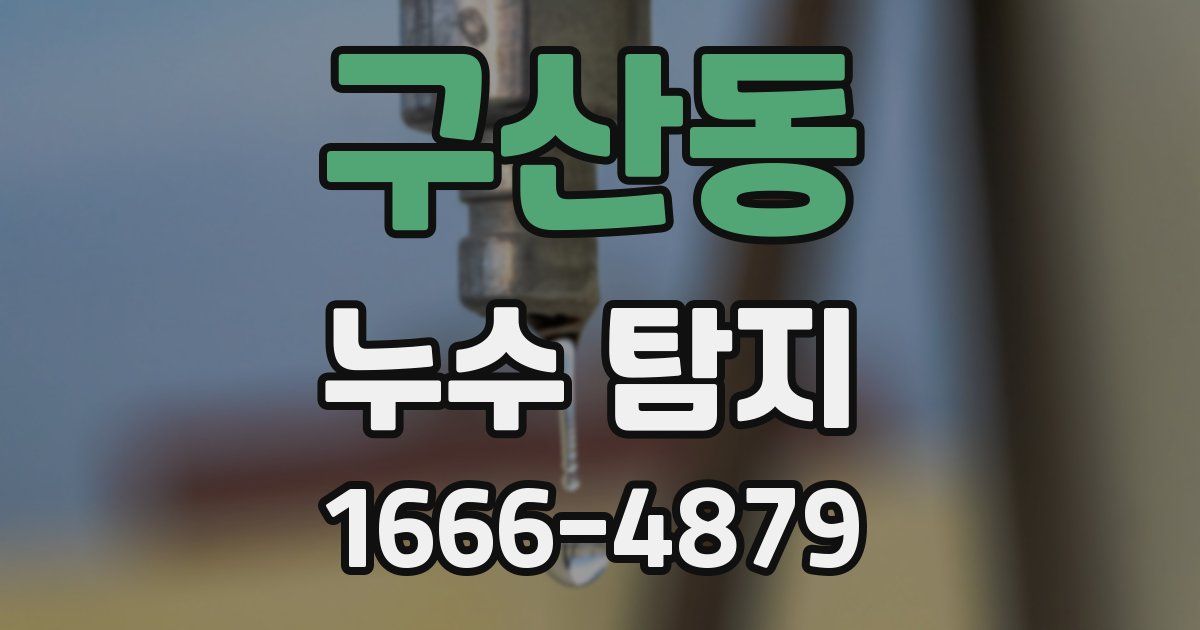 구산동 누수 탐지