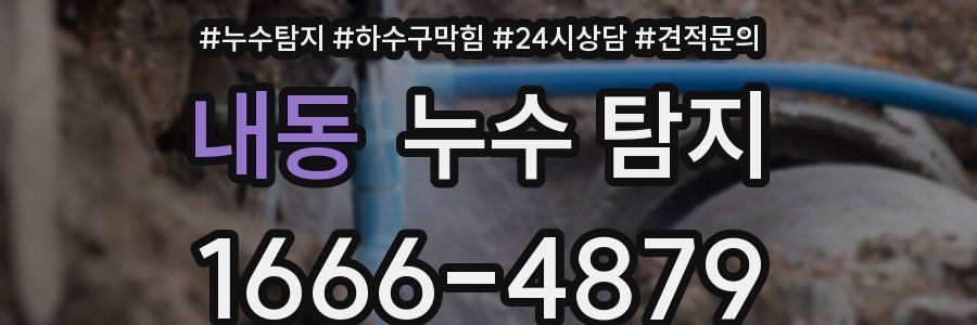 내동 누수 탐지