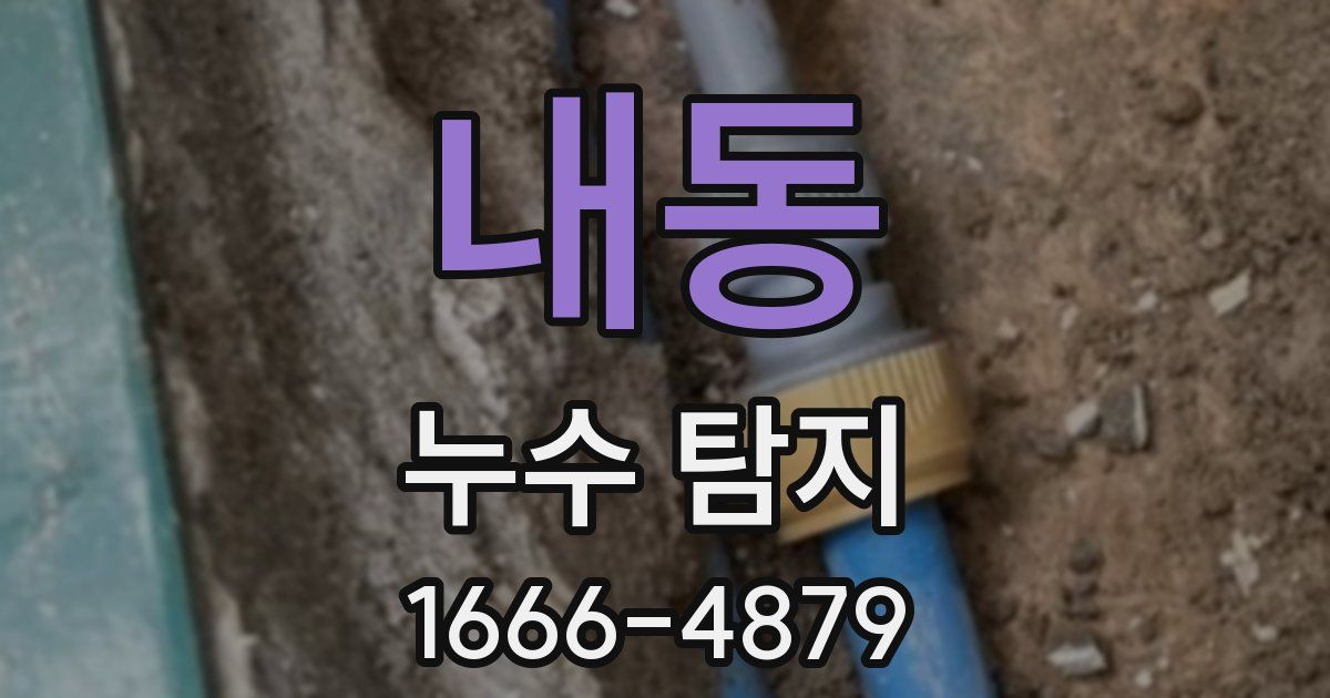 내동 누수 탐지
