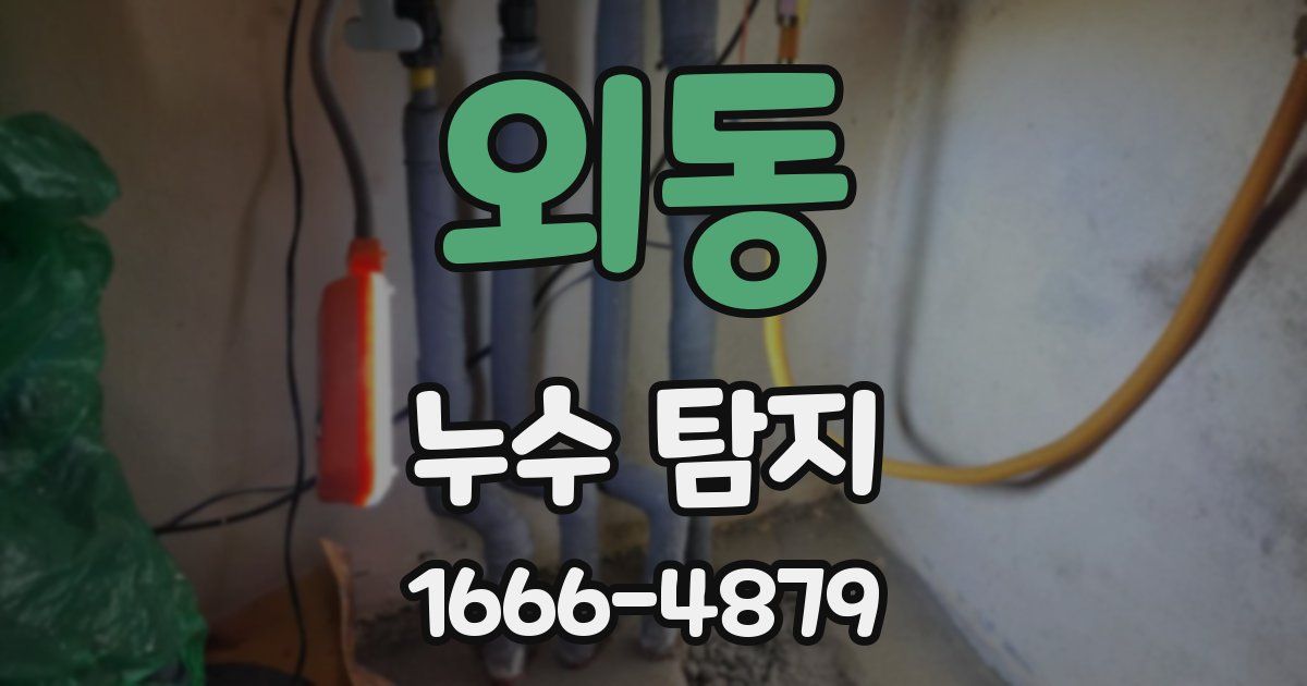 외동 누수 탐지