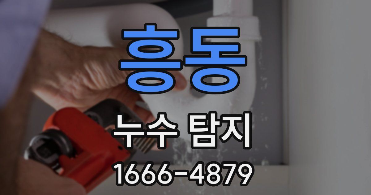 흥동 누수 탐지