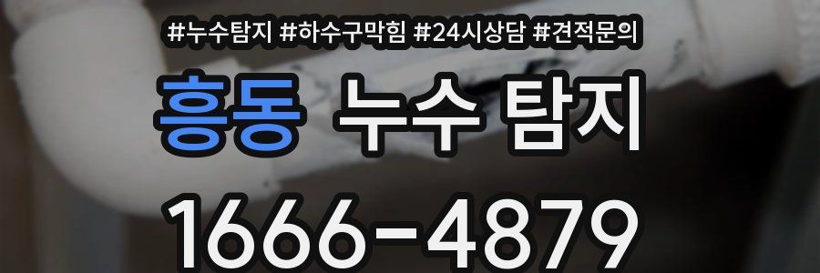 흥동 누수 탐지