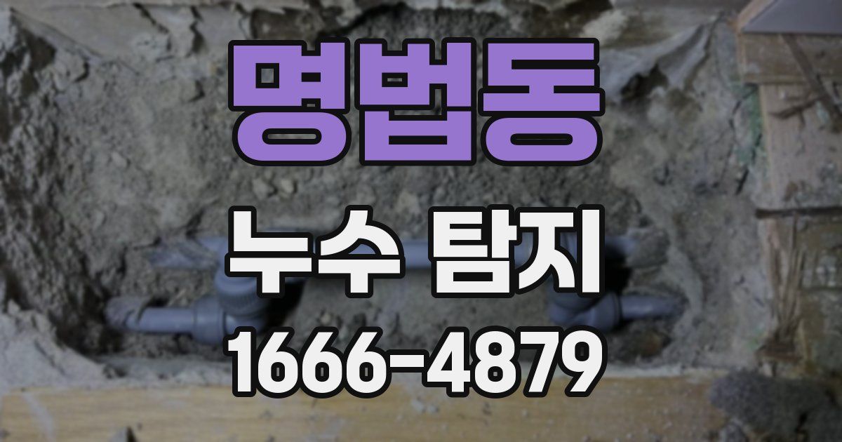 명법동 누수 탐지