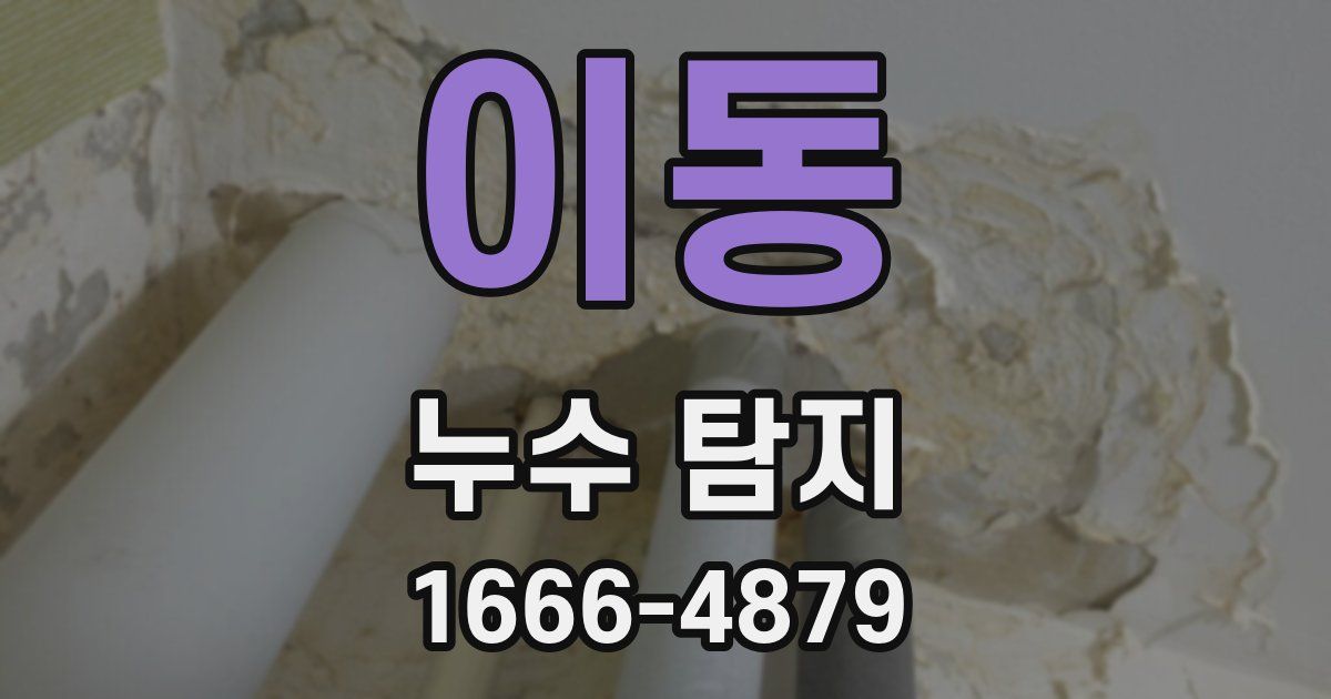 이동 누수 탐지