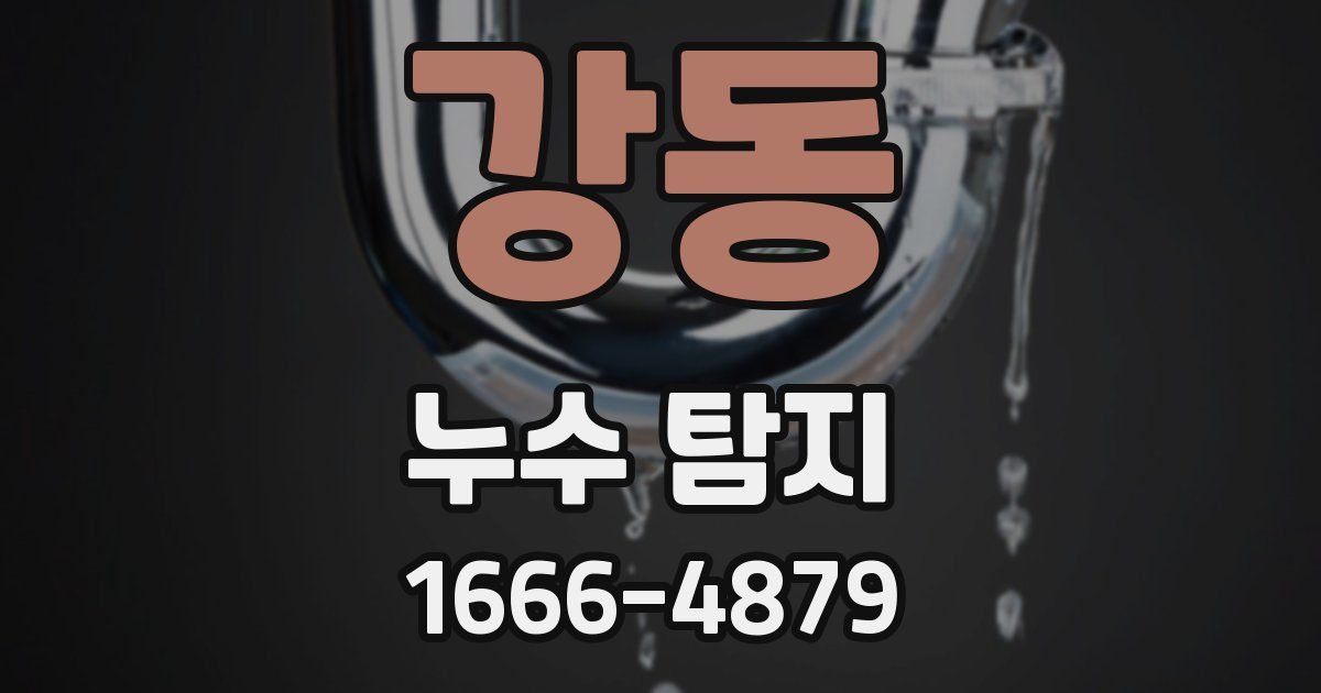 강동 누수 탐지